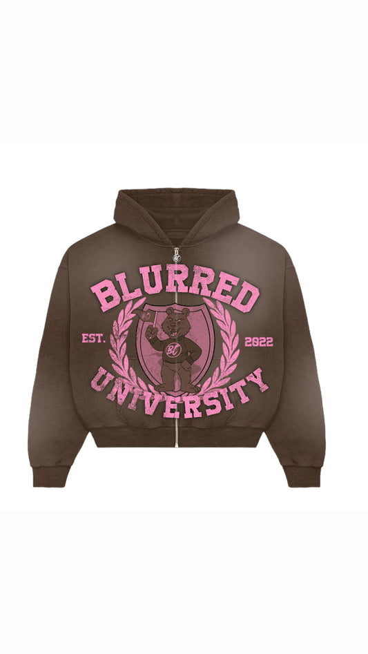 Brown & Pink University Hoodie